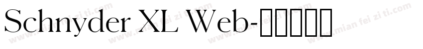 Schnyder XL Web字体转换